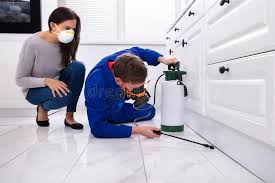 Professional Pest control in Huntington, TX